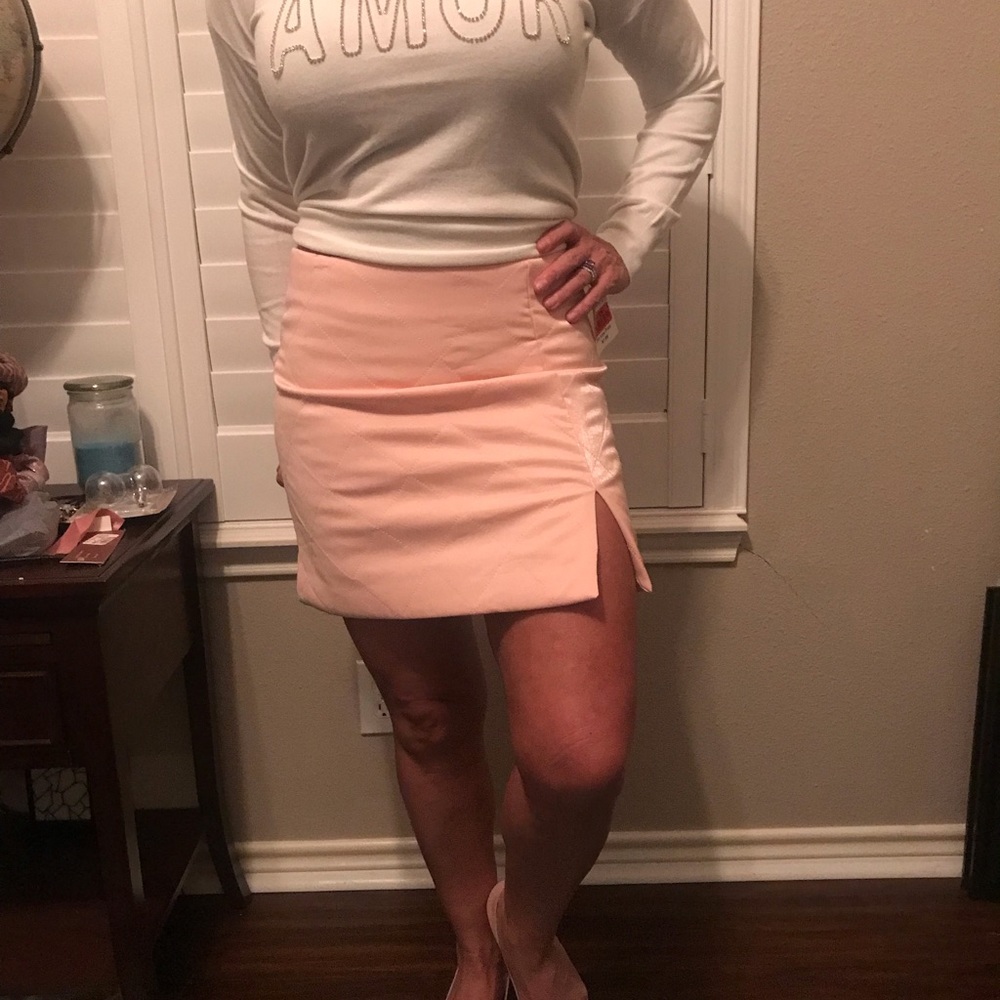 3/$25!!  NWT Forever 21 (don’t we wish) Pink Quilted Mini skirt